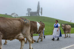 Appenzell, Appenzell Ausserrohden, Autumn, Fall, Herbst, Hundwil, Landwirtschaft, Schweiz, Sennen, Suisse, Switzerland, Tracht, Viehschau, Wirtschaft, tradition