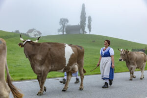 Appenzell, Appenzell Ausserrohden, Autumn, Fall, Herbst, Hundwil, Landwirtschaft, Schweiz, Sennen, Suisse, Switzerland, Tracht, Viehschau, Wirtschaft, tradition