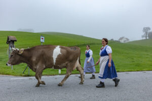 Appenzell, Appenzell Ausserrohden, Autumn, Fall, Herbst, Hundwil, Landwirtschaft, Schweiz, Sennen, Suisse, Switzerland, Tracht, Viehschau, Wirtschaft, tradition