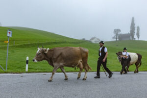 Appenzell, Appenzell Ausserrohden, Autumn, Fall, Herbst, Hundwil, Landwirtschaft, Schweiz, Sennen, Suisse, Switzerland, Tracht, Viehschau, Wirtschaft, tradition