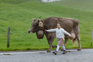 Appenzell, Appenzell Ausserrohden, Autumn, Fall, Herbst, Hundwil, Landwirtschaft, Schweiz, Sennen, Suisse, Switzerland, Tracht, Viehschau, Wirtschaft, tradition
