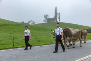 Appenzell, Appenzell Ausserrohden, Autumn, Fall, Herbst, Hundwil, Landwirtschaft, Schweiz, Sennen, Suisse, Switzerland, Tracht, Viehschau, Wirtschaft, tradition