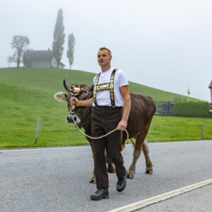 Appenzell, Appenzell Ausserrohden, Autumn, Fall, Herbst, Hundwil, Landwirtschaft, Schweiz, Sennen, Suisse, Switzerland, Tracht, Viehschau, Wirtschaft, tradition