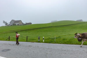 Appenzell, Appenzell Ausserrohden, Autumn, Fall, Herbst, Hundwil, Landwirtschaft, Schweiz, Sennen, Suisse, Switzerland, Tracht, Viehschau, Wirtschaft, tradition