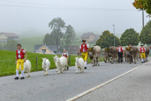 Appenzell, Appenzell Ausserrohden, Autumn, Fall, Herbst, Hundwil, Landwirtschaft, Schweiz, Sennen, Suisse, Switzerland, Tracht, Viehschau, Wirtschaft, tradition