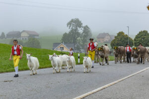 Appenzell, Appenzell Ausserrohden, Autumn, Fall, Herbst, Hundwil, Landwirtschaft, Schweiz, Sennen, Suisse, Switzerland, Tracht, Viehschau, Wirtschaft, tradition
