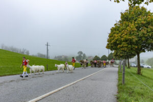 Appenzell, Appenzell Ausserrohden, Autumn, Fall, Herbst, Hundwil, Landwirtschaft, Schweiz, Sennen, Suisse, Switzerland, Tracht, Viehschau, Wirtschaft, tradition