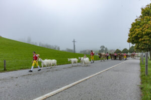 Appenzell, Appenzell Ausserrohden, Autumn, Fall, Herbst, Hundwil, Landwirtschaft, Schweiz, Sennen, Suisse, Switzerland, Tracht, Viehschau, Wirtschaft, tradition