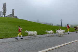 Appenzell, Appenzell Ausserrohden, Autumn, Fall, Herbst, Hundwil, Landwirtschaft, Schweiz, Sennen, Suisse, Switzerland, Tracht, Viehschau, Wirtschaft, tradition