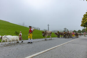 Appenzell, Appenzell Ausserrohden, Autumn, Fall, Herbst, Hundwil, Landwirtschaft, Schweiz, Sennen, Suisse, Switzerland, Tracht, Viehschau, Wirtschaft, tradition