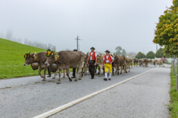 Appenzell, Appenzell Ausserrohden, Autumn, Fall, Herbst, Hundwil, Landwirtschaft, Schweiz, Sennen, Suisse, Switzerland, Tracht, Viehschau, Wirtschaft, tradition