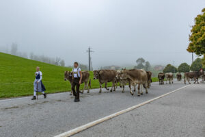 Appenzell, Appenzell Ausserrohden, Autumn, Fall, Herbst, Hundwil, Landwirtschaft, Schweiz, Sennen, Suisse, Switzerland, Tracht, Viehschau, Wirtschaft, tradition