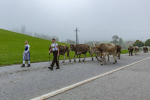 Appenzell, Appenzell Ausserrohden, Autumn, Fall, Herbst, Hundwil, Landwirtschaft, Schweiz, Sennen, Suisse, Switzerland, Tracht, Viehschau, Wirtschaft, tradition