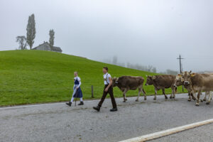 Appenzell, Appenzell Ausserrohden, Autumn, Fall, Herbst, Hundwil, Landwirtschaft, Schweiz, Sennen, Suisse, Switzerland, Tracht, Viehschau, Wirtschaft, tradition