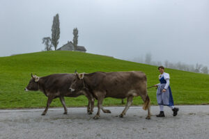 Appenzell, Appenzell Ausserrohden, Autumn, Fall, Herbst, Hundwil, Landwirtschaft, Schweiz, Sennen, Suisse, Switzerland, Tracht, Viehschau, Wirtschaft, tradition