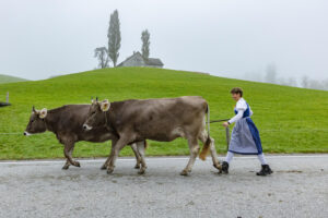 Appenzell, Appenzell Ausserrohden, Autumn, Fall, Herbst, Hundwil, Landwirtschaft, Schweiz, Sennen, Suisse, Switzerland, Tracht, Viehschau, Wirtschaft, tradition