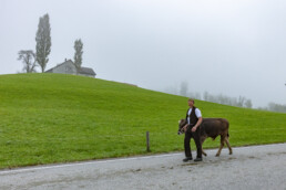 Appenzell, Appenzell Ausserrohden, Autumn, Fall, Herbst, Hundwil, Landwirtschaft, Schweiz, Sennen, Suisse, Switzerland, Tracht, Viehschau, Wirtschaft, tradition