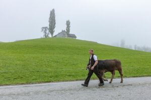 Appenzell, Appenzell Ausserrohden, Autumn, Fall, Herbst, Hundwil, Landwirtschaft, Schweiz, Sennen, Suisse, Switzerland, Tracht, Viehschau, Wirtschaft, tradition