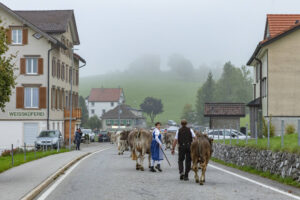 Appenzell, Appenzell Ausserrohden, Autumn, Fall, Herbst, Hundwil, Landwirtschaft, Schweiz, Sennen, Suisse, Switzerland, Tracht, Viehschau, Wirtschaft, tradition