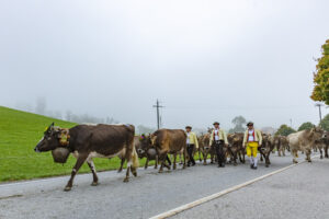 Appenzell, Appenzell Ausserrohden, Autumn, Fall, Herbst, Hundwil, Landwirtschaft, Schweiz, Sennen, Suisse, Switzerland, Tracht, Viehschau, Wirtschaft, tradition