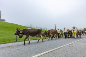 Appenzell, Appenzell Ausserrohden, Autumn, Fall, Herbst, Hundwil, Landwirtschaft, Schweiz, Sennen, Suisse, Switzerland, Tracht, Viehschau, Wirtschaft, tradition