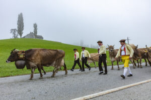 Appenzell, Appenzell Ausserrohden, Autumn, Fall, Herbst, Hundwil, Landwirtschaft, Schweiz, Sennen, Suisse, Switzerland, Tracht, Viehschau, Wirtschaft, tradition