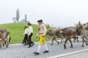 Appenzell, Appenzell Ausserrohden, Autumn, Fall, Herbst, Hundwil, Landwirtschaft, Schweiz, Sennen, Suisse, Switzerland, Tracht, Viehschau, Wirtschaft, tradition