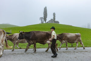 Appenzell, Appenzell Ausserrohden, Autumn, Fall, Herbst, Hundwil, Landwirtschaft, Schweiz, Sennen, Suisse, Switzerland, Tracht, Viehschau, Wirtschaft, tradition