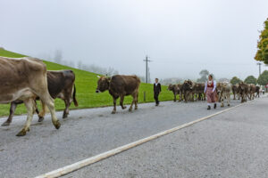 Appenzell, Appenzell Ausserrohden, Autumn, Fall, Herbst, Hundwil, Landwirtschaft, Schweiz, Sennen, Suisse, Switzerland, Tracht, Viehschau, Wirtschaft, tradition