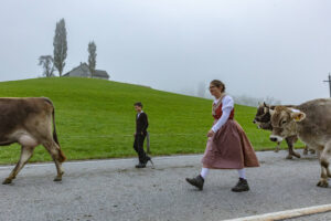 Appenzell, Appenzell Ausserrohden, Autumn, Fall, Herbst, Hundwil, Landwirtschaft, Schweiz, Sennen, Suisse, Switzerland, Tracht, Viehschau, Wirtschaft, tradition