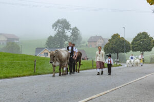 Appenzell, Appenzell Ausserrohden, Autumn, Fall, Herbst, Hundwil, Landwirtschaft, Schweiz, Sennen, Suisse, Switzerland, Tracht, Viehschau, Wirtschaft, tradition