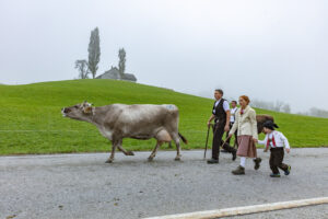 Appenzell, Appenzell Ausserrohden, Autumn, Fall, Herbst, Hundwil, Landwirtschaft, Schweiz, Sennen, Suisse, Switzerland, Tracht, Viehschau, Wirtschaft, tradition