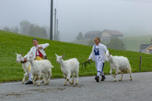 Appenzell, Appenzell Ausserrohden, Autumn, Fall, Herbst, Hundwil, Landwirtschaft, Schweiz, Sennen, Suisse, Switzerland, Tracht, Viehschau, Wirtschaft, tradition