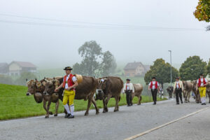 Appenzell, Appenzell Ausserrohden, Autumn, Fall, Herbst, Hundwil, Landwirtschaft, Schweiz, Sennen, Suisse, Switzerland, Tracht, Viehschau, Wirtschaft, tradition