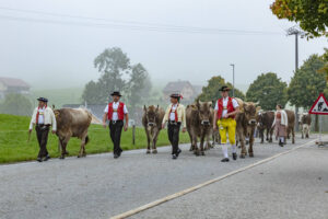 Appenzell, Appenzell Ausserrohden, Autumn, Fall, Herbst, Hundwil, Landwirtschaft, Schweiz, Sennen, Suisse, Switzerland, Tracht, Viehschau, Wirtschaft, tradition