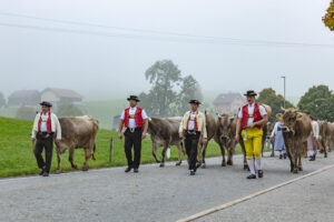 Appenzell, Appenzell Ausserrohden, Autumn, Fall, Herbst, Hundwil, Landwirtschaft, Schweiz, Sennen, Suisse, Switzerland, Tracht, Viehschau, Wirtschaft, tradition