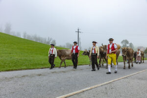 Appenzell, Appenzell Ausserrohden, Autumn, Fall, Herbst, Hundwil, Landwirtschaft, Schweiz, Sennen, Suisse, Switzerland, Tracht, Viehschau, Wirtschaft, tradition