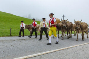 Appenzell, Appenzell Ausserrohden, Autumn, Fall, Herbst, Hundwil, Landwirtschaft, Schweiz, Sennen, Suisse, Switzerland, Tracht, Viehschau, Wirtschaft, tradition