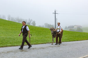 Appenzell, Appenzell Ausserrohden, Autumn, Fall, Herbst, Hundwil, Landwirtschaft, Schweiz, Sennen, Suisse, Switzerland, Tracht, Viehschau, Wirtschaft, tradition