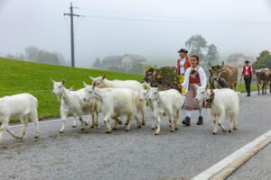 Appenzell, Appenzell Ausserrohden, Autumn, Fall, Herbst, Hundwil, Landwirtschaft, Schweiz, Sennen, Suisse, Switzerland, Tracht, Viehschau, Wirtschaft, tradition