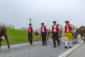 Appenzell, Appenzell Ausserrohden, Autumn, Fall, Herbst, Hundwil, Landwirtschaft, Schweiz, Sennen, Suisse, Switzerland, Tracht, Viehschau, Wirtschaft, tradition