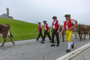 Appenzell, Appenzell Ausserrohden, Autumn, Fall, Herbst, Hundwil, Landwirtschaft, Schweiz, Sennen, Suisse, Switzerland, Tracht, Viehschau, Wirtschaft, tradition