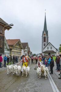 Appenzell, Appenzell Ausserrohden, Autumn, Fall, Herbst, Hundwil, Landwirtschaft, Schweiz, Sennen, Suisse, Switzerland, Tracht, Viehschau, Wirtschaft, tradition