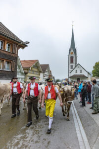 Appenzell, Appenzell Ausserrohden, Autumn, Fall, Herbst, Hundwil, Landwirtschaft, Schweiz, Sennen, Suisse, Switzerland, Tracht, Viehschau, Wirtschaft, tradition