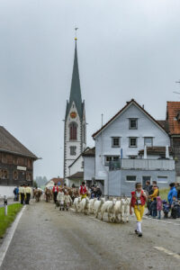 Appenzell, Appenzell Ausserrohden, Autumn, Fall, Herbst, Hundwil, Landwirtschaft, Schweiz, Sennen, Suisse, Switzerland, Tracht, Viehschau, Wirtschaft, tradition