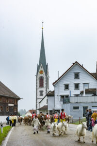 Appenzell, Appenzell Ausserrohden, Autumn, Fall, Herbst, Hundwil, Landwirtschaft, Schweiz, Sennen, Suisse, Switzerland, Tracht, Viehschau, Wirtschaft, tradition