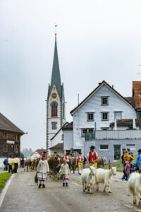 Appenzell, Appenzell Ausserrohden, Autumn, Fall, Herbst, Hundwil, Landwirtschaft, Schweiz, Sennen, Suisse, Switzerland, Tracht, Viehschau, Wirtschaft, tradition