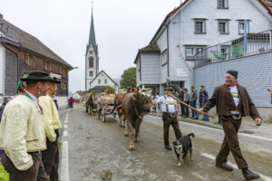 Appenzell, Appenzell Ausserrohden, Autumn, Fall, Herbst, Hundwil, Landwirtschaft, Schweiz, Sennen, Suisse, Switzerland, Tracht, Viehschau, Wirtschaft, tradition