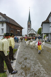 Appenzell, Appenzell Ausserrohden, Autumn, Fall, Herbst, Hundwil, Landwirtschaft, Schweiz, Sennen, Suisse, Switzerland, Tracht, Viehschau, Wirtschaft, tradition