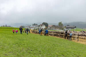 Appenzell, Appenzell Ausserrohden, Autumn, Fall, Herbst, Hundwil, Landwirtschaft, Schweiz, Sennen, Suisse, Switzerland, Tracht, Viehschau, Wirtschaft, tradition